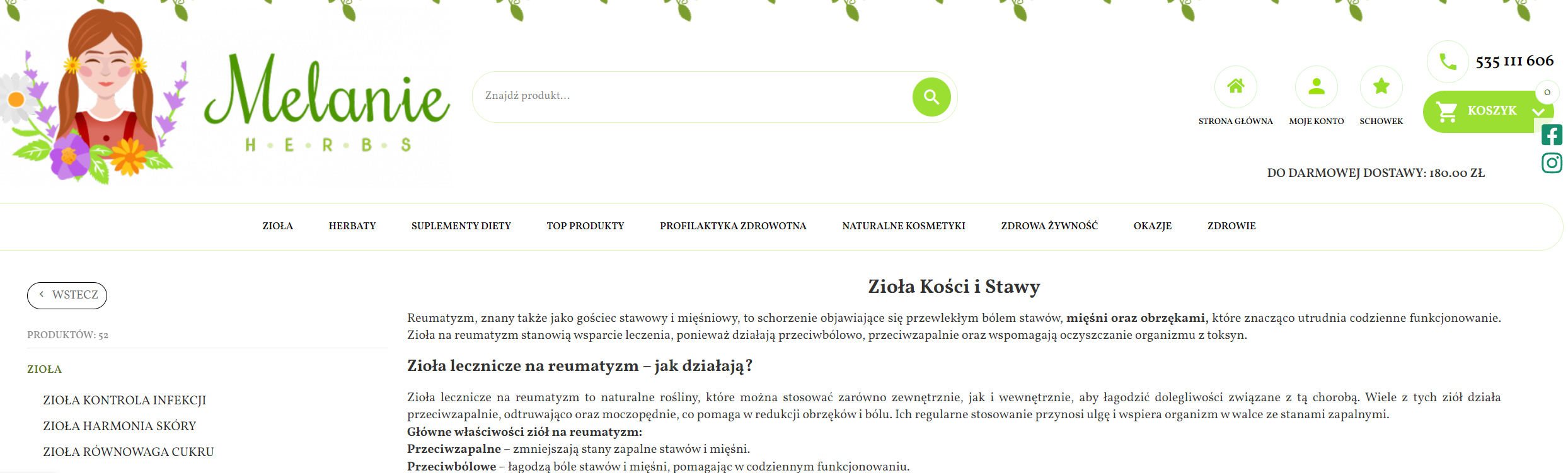 Zioła na reumatyzm w medycynie ludowej i współczesnej fitoterapii - co się zmieniło przez pokolenia?